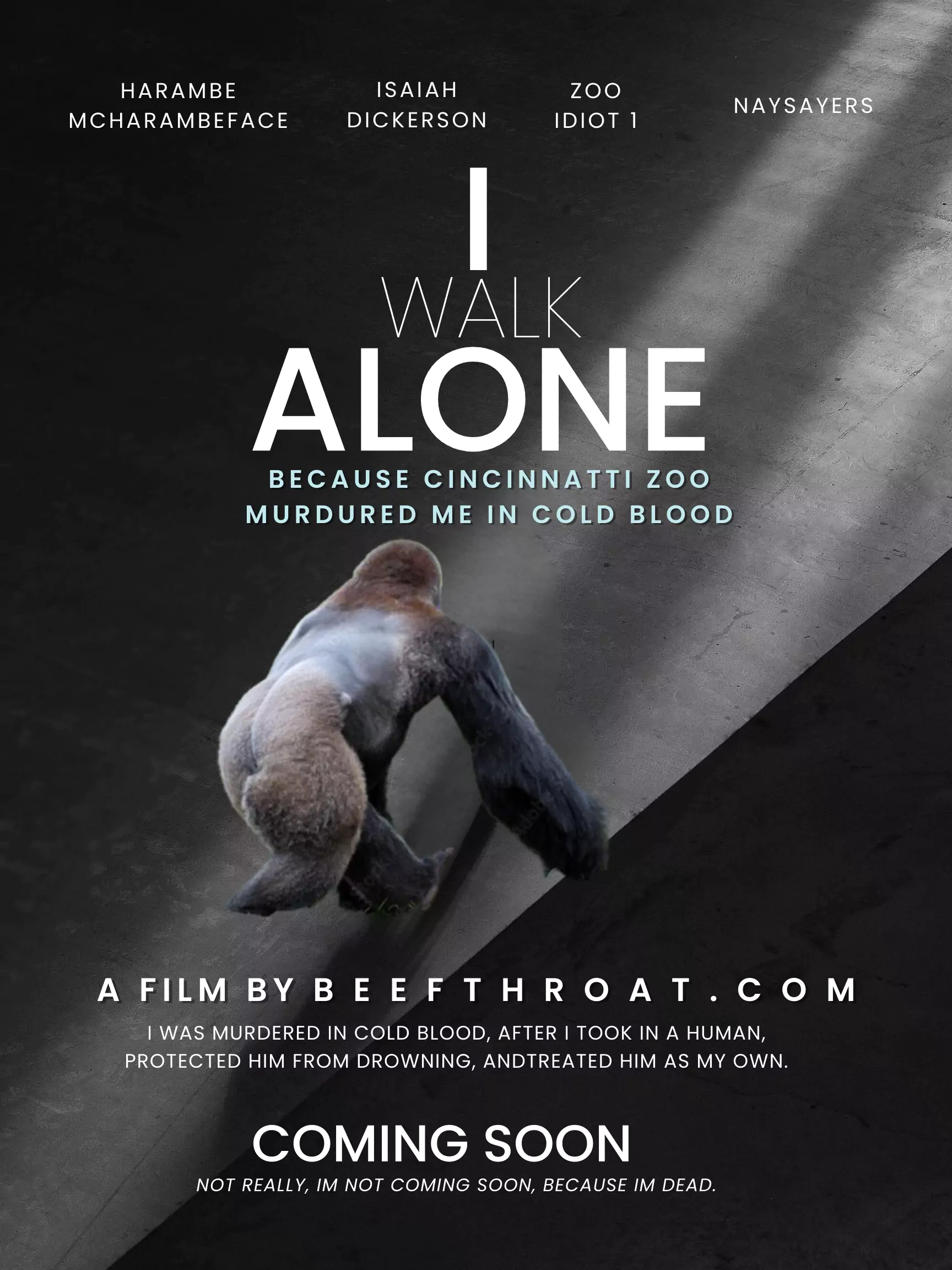 Nations Best Harambe Swag and Apparel