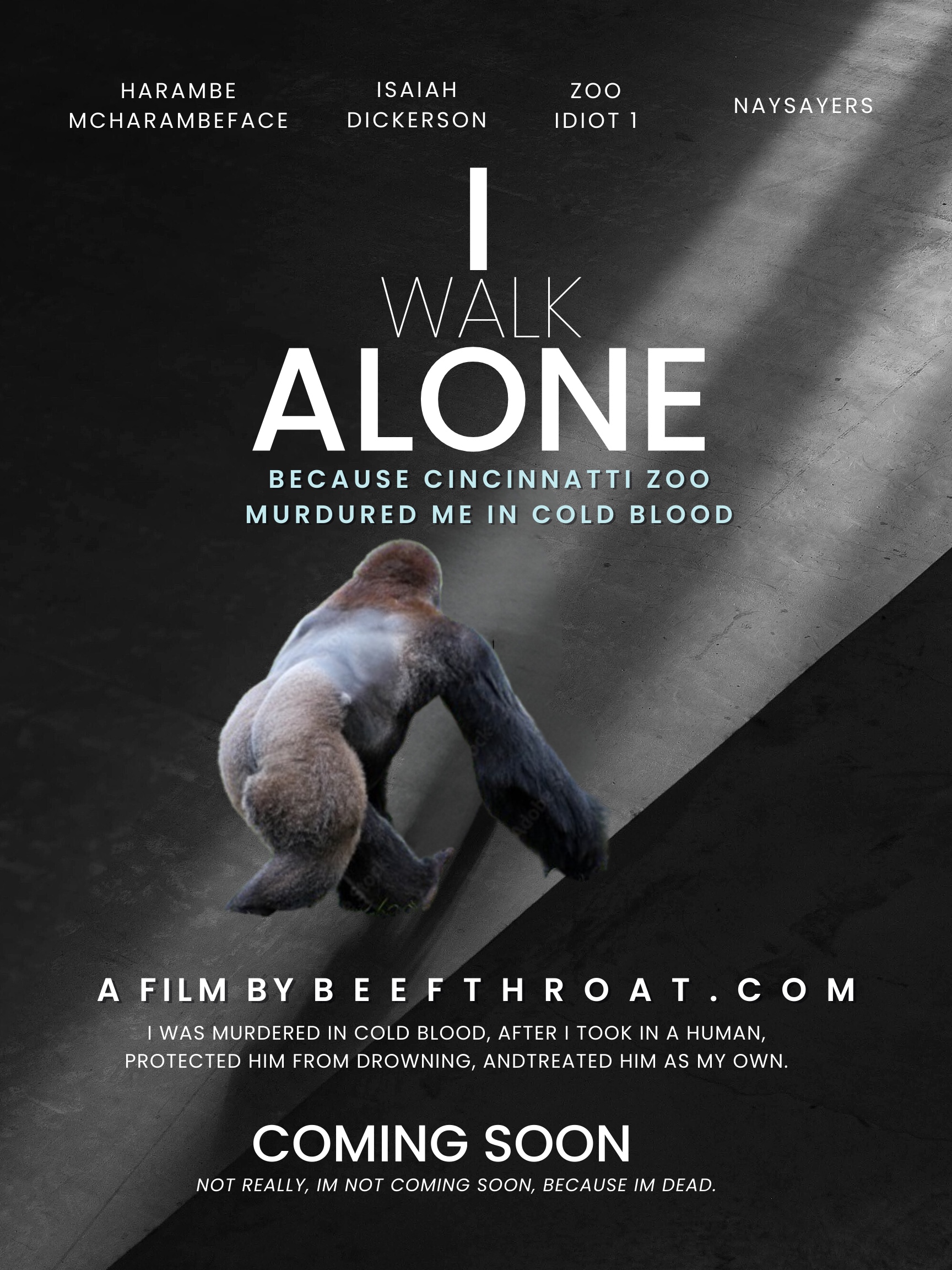 Nations Best Harambe Swag and Apparel